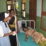 Sennathur – Dispensario medico
