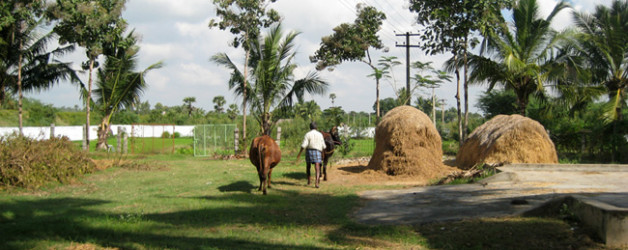 Gennaio 2010 – Vellore e Kongerpalayam