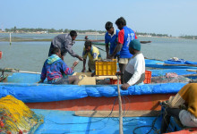 Le nuove barche tornano dalla prima pesca